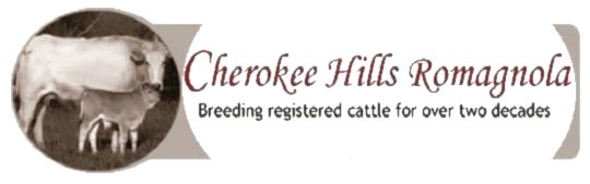 Cherokee Hills Romagnola