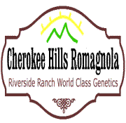 Cherokee Hills Logo